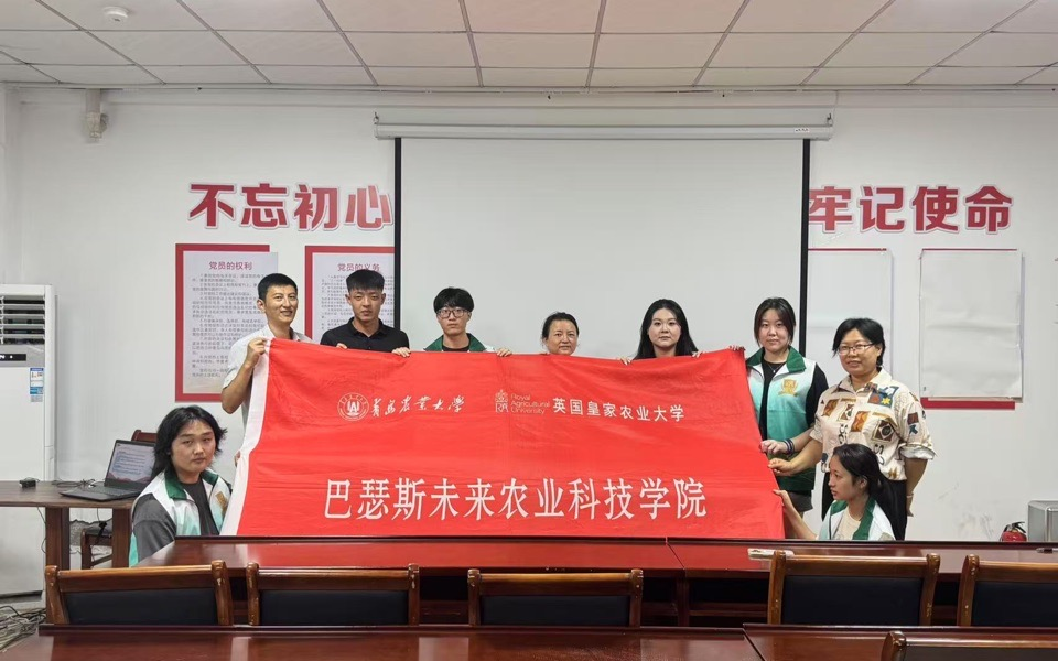 ylzz总站线路检测