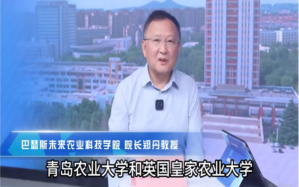 ylzz总站线路检测