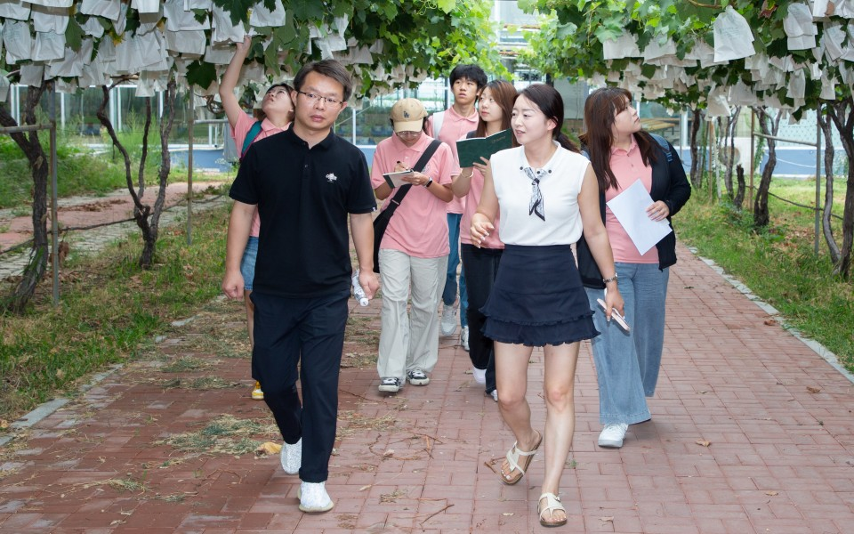 ylzz总站线路检测